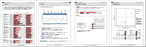 調査結果レポートの抜粋